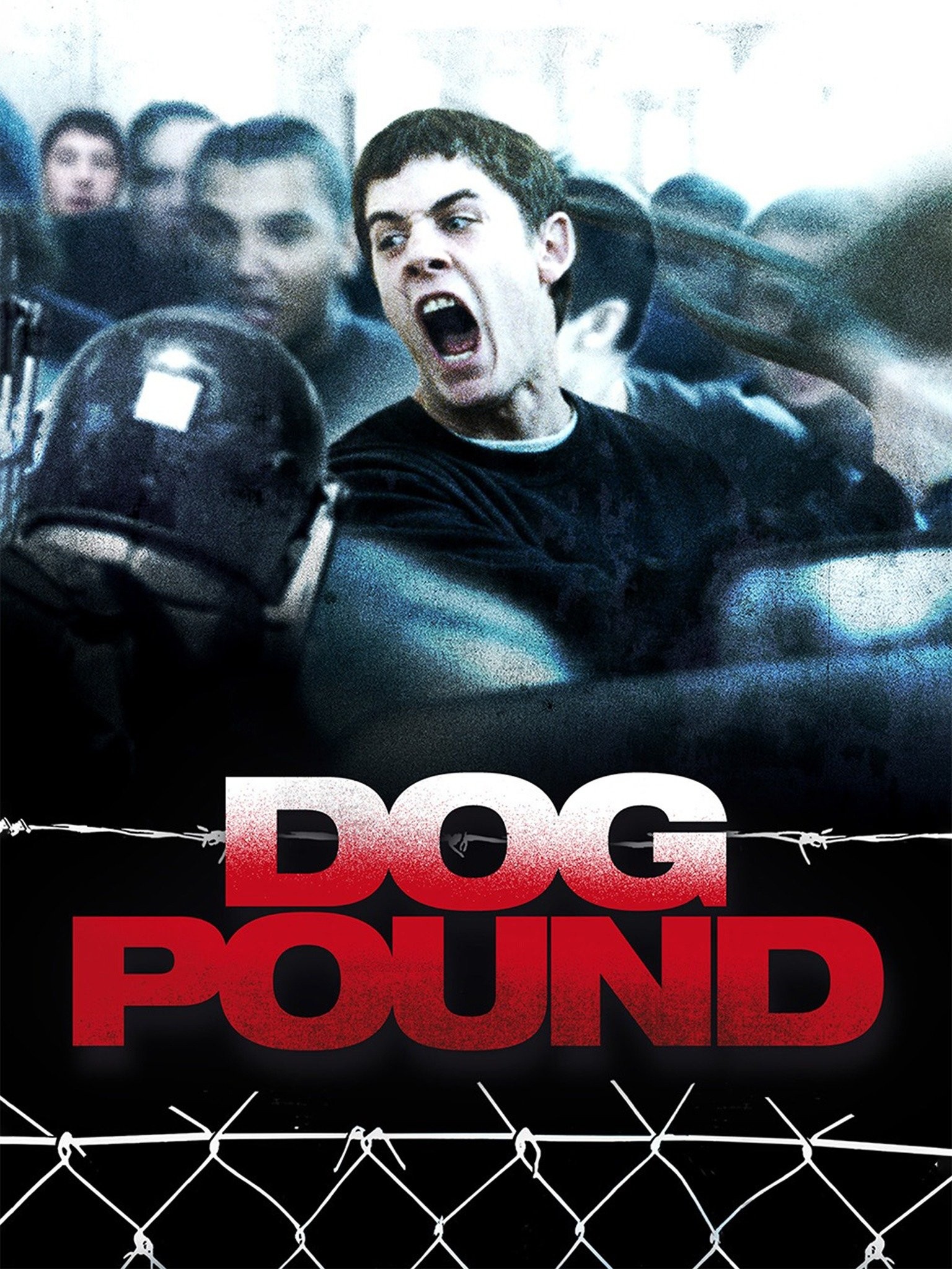 dog pound